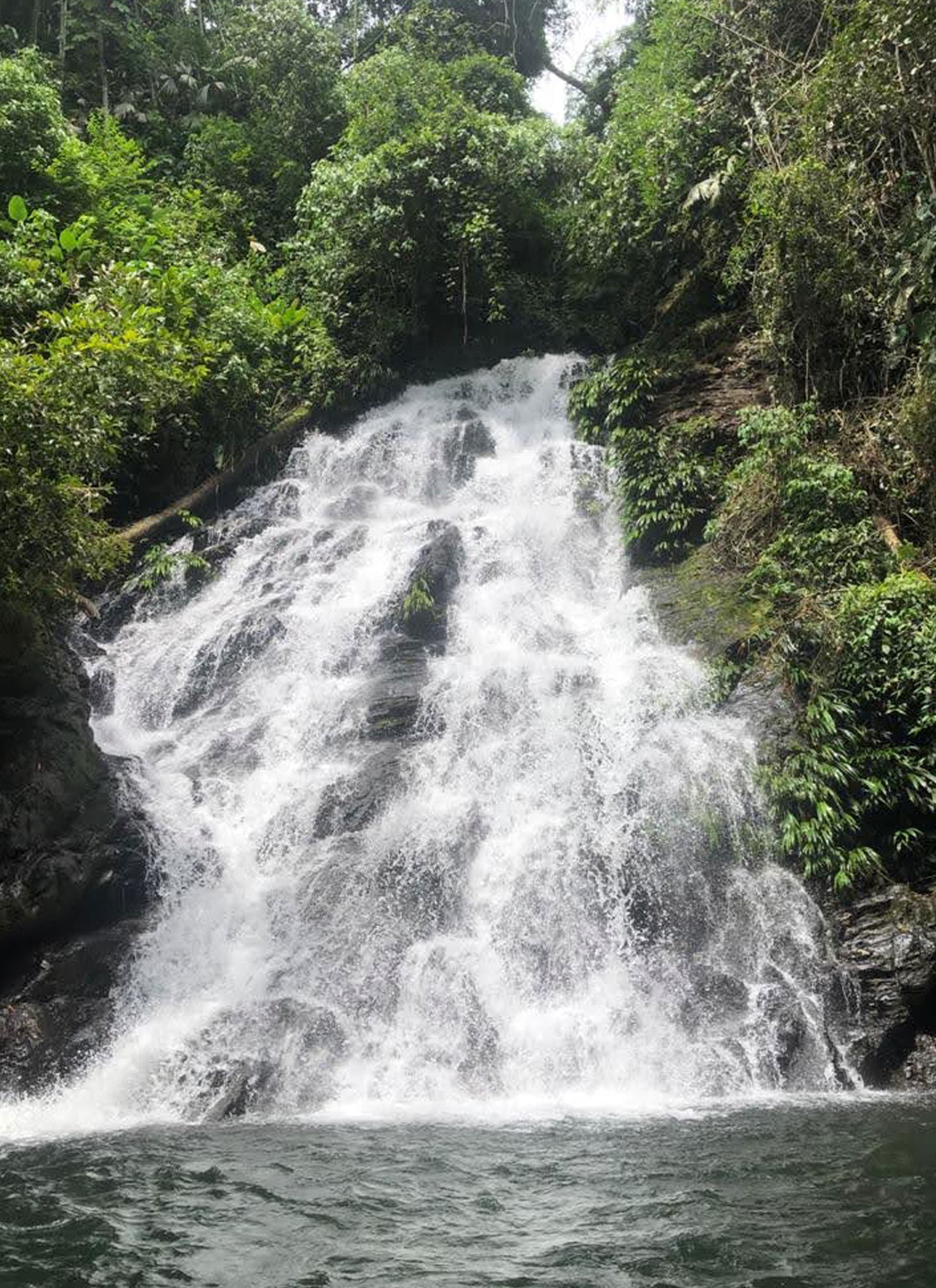 Amani 4